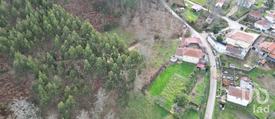 Terreno urbano em Espinhal de 1 116 m²