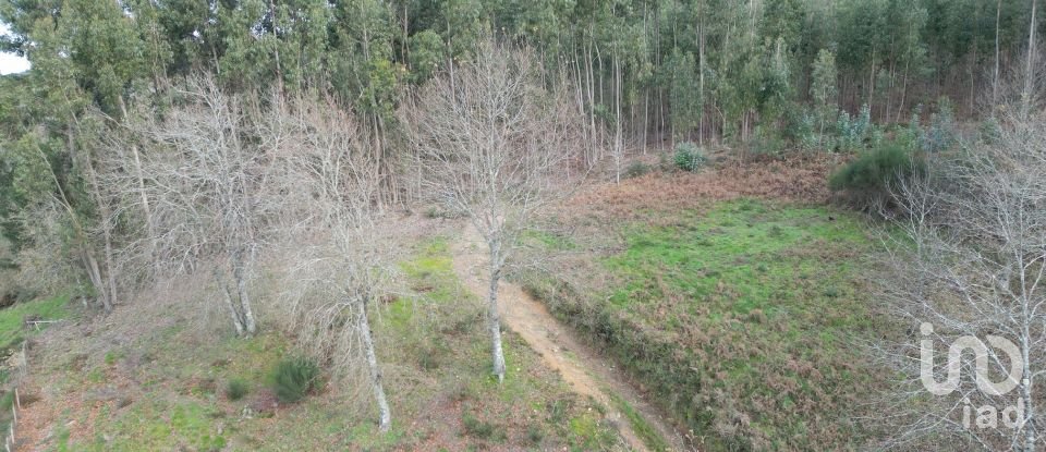 Terreno urbano em Espinhal de 1 116 m²