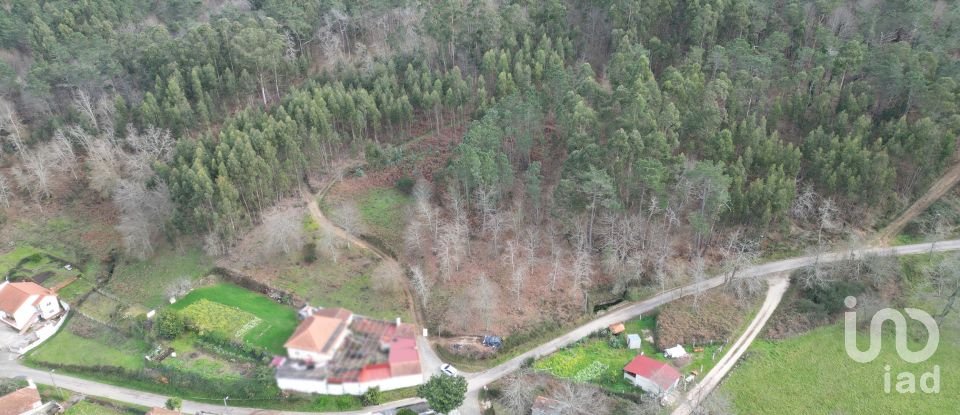 Terreno urbano em Espinhal de 1 116 m²