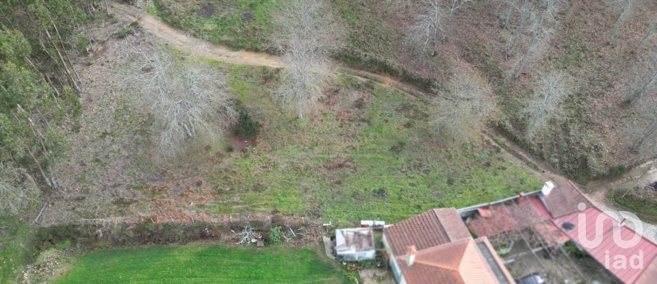 Terreno urbano em Espinhal de 1 116 m²