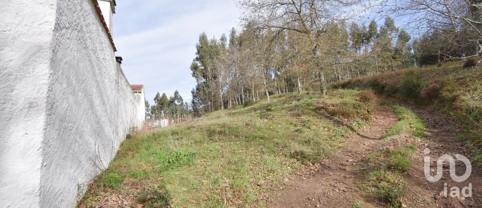 Terreno urbano em Espinhal de 1 116 m²