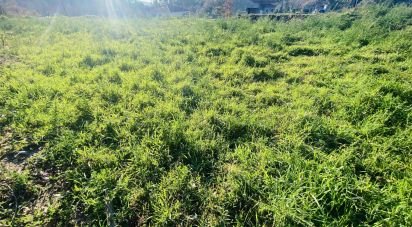Farm land in Sopo of 1,022 m²