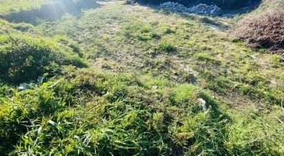 Farm land in Sopo of 1,022 m²