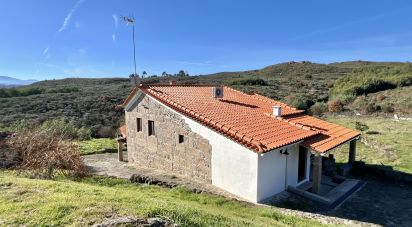 Farm T3 in Fornos de Algodres of 250 m²