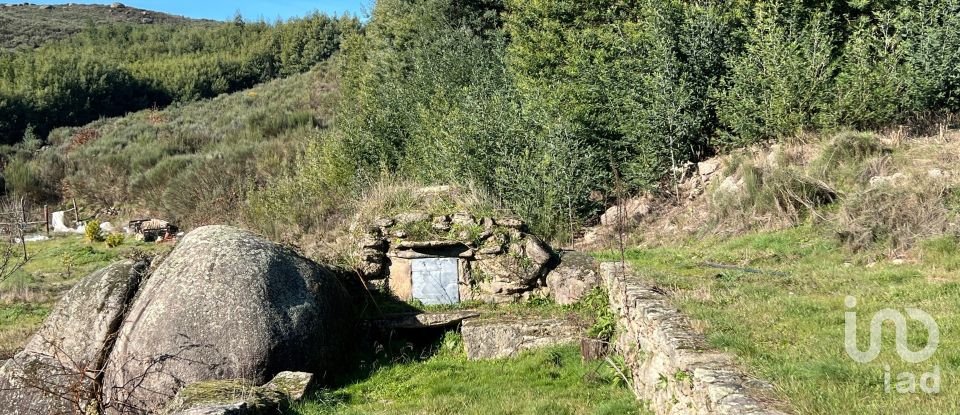 Farm T3 in Fornos de Algodres of 250 m²