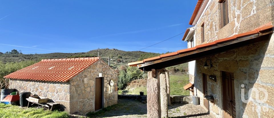 Farm T3 in Fornos de Algodres of 250 m²