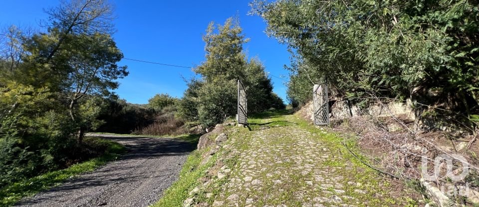 Farm T3 in Fornos de Algodres of 250 m²