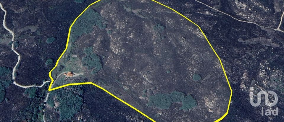 Farm T3 in Fornos de Algodres of 250 m²