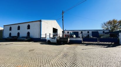 Murs commerciaux à Cabeça Gorda de 845 m²