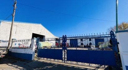 Murs commerciaux à Cabeça Gorda de 845 m²