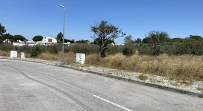 Building plot in Alcácer do Sal (Santa Maria do Castelo e Santiago) e Santa Susana of 154,750 m²