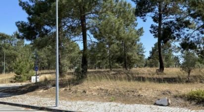 Building plot in Alcácer do Sal (Santa Maria do Castelo e Santiago) e Santa Susana of 154,750 m²