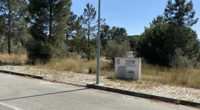 Building plot in Alcácer do Sal (Santa Maria do Castelo e Santiago) e Santa Susana of 154,750 m²