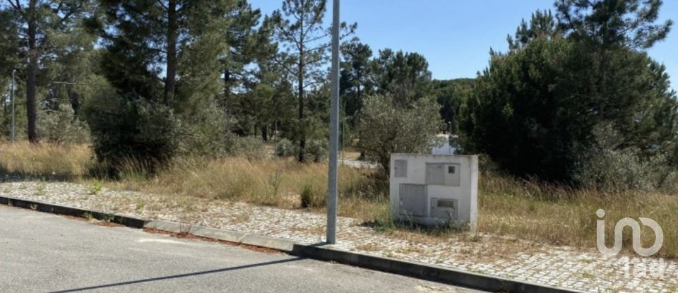 Terreno urbano em Alcácer do Sal (Santa Maria do Castelo e Santiago) e Santa Susana de 154 750 m²
