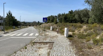 Building plot in Alcácer do Sal (Santa Maria do Castelo e Santiago) e Santa Susana of 154,750 m²