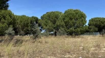 Building plot in Alcácer do Sal (Santa Maria do Castelo e Santiago) e Santa Susana of 154,750 m²