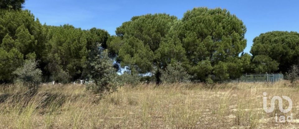 Terreno urbano em Alcácer do Sal (Santa Maria do Castelo e Santiago) e Santa Susana de 154 750 m²