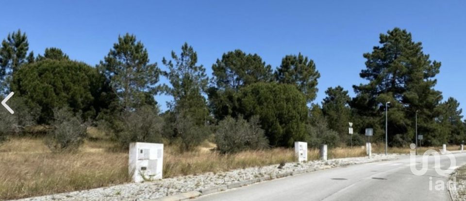 Terreno urbano em Alcácer do Sal (Santa Maria do Castelo e Santiago) e Santa Susana de 154 750 m²
