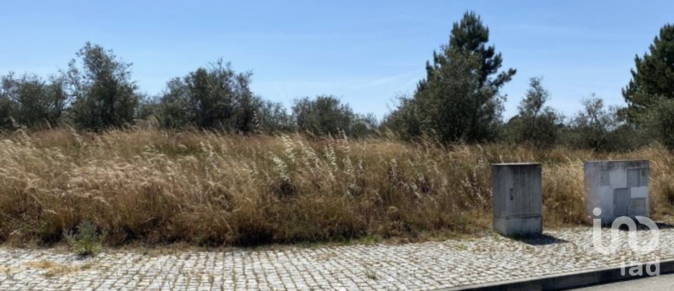 Terreno urbano em Alcácer do Sal (Santa Maria do Castelo e Santiago) e Santa Susana de 154 750 m²