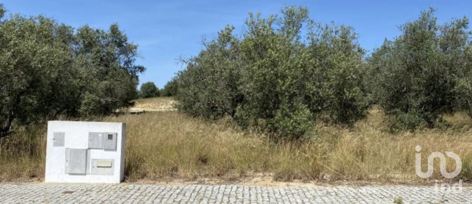 Terreno urbano em Alcácer do Sal (Santa Maria do Castelo e Santiago) e Santa Susana de 154 750 m²