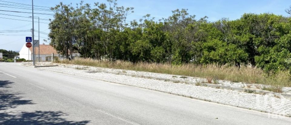Terreno urbano em Alcácer do Sal (Santa Maria do Castelo e Santiago) e Santa Susana de 154 750 m²