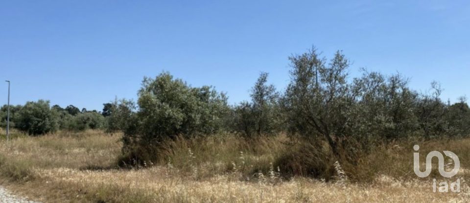 Terreno urbano em Alcácer do Sal (Santa Maria do Castelo e Santiago) e Santa Susana de 154 750 m²