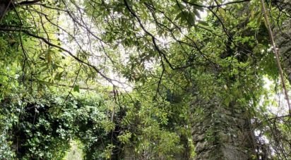 Terrain à Sintra (Santa Maria e São Miguel, São Martinho e São Pedro de Penaferrim) de 8 385 m²