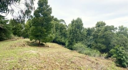 Terrain à Sintra (Santa Maria e São Miguel, São Martinho e São Pedro de Penaferrim) de 8 385 m²