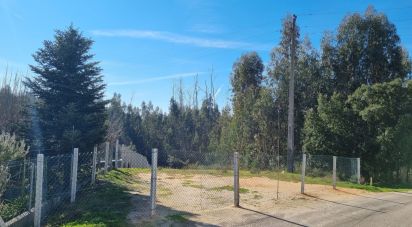 Terrain à Poiares (Santo André) de 777 m²