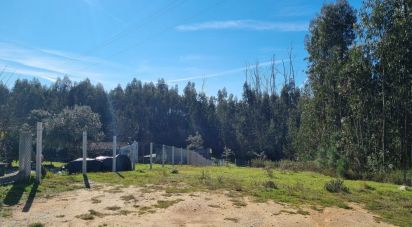 Terrain à Poiares (Santo André) de 777 m²