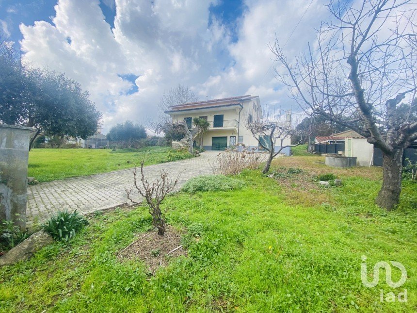 Traditional house T5 in Campos e Vila Meã of 183 m²