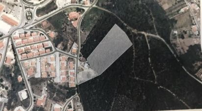 Loja / Estabelecimento Comercial em Castanheira de Pêra e Coentral de 458 m²