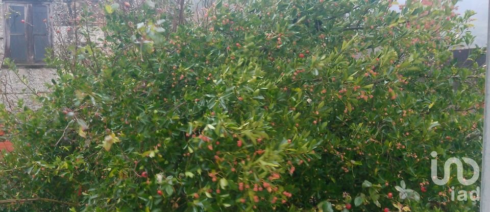 Casa T3 em Penalva de Alva e São Sebastião da Feira de 120 m²