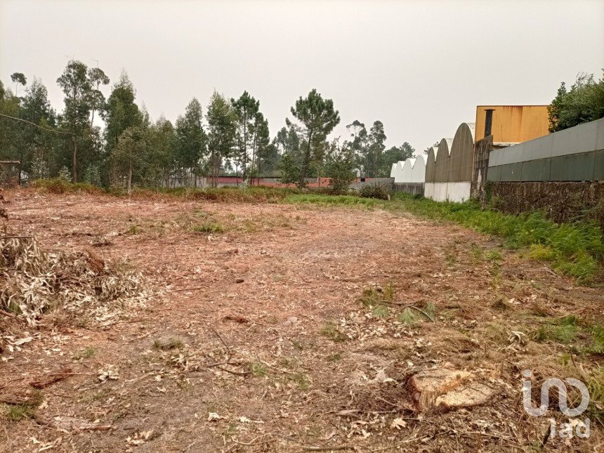 Farm land in Mazarefes E Vila Fria of 6,532 m²