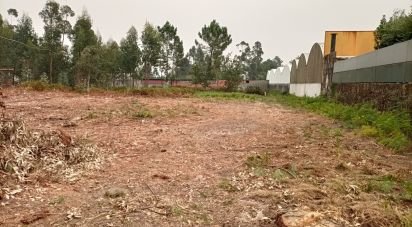 Farm land in Mazarefes E Vila Fria of 6,532 m²
