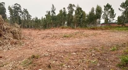 Farm land in Mazarefes E Vila Fria of 6,532 m²