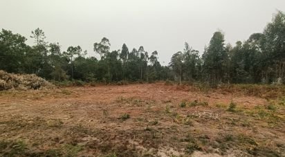 Farm land in Mazarefes E Vila Fria of 6,532 m²