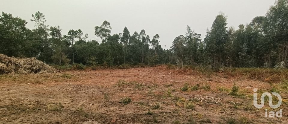 Farm land in Mazarefes E Vila Fria of 6,532 m²