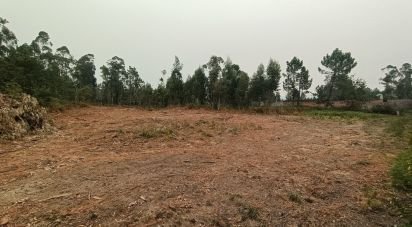 Farm land in Mazarefes E Vila Fria of 6,532 m²