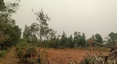 Farm land in Mazarefes E Vila Fria of 6,532 m²