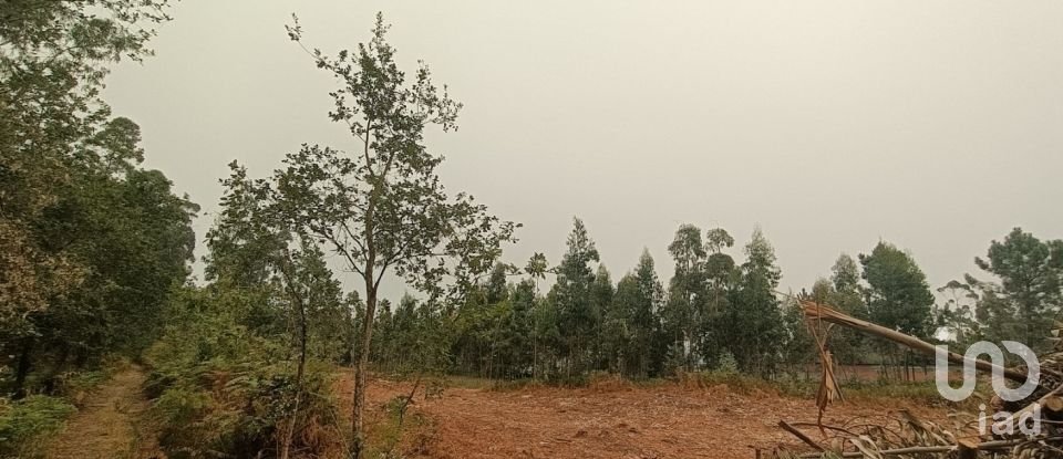 Farm land in Mazarefes E Vila Fria of 6,532 m²