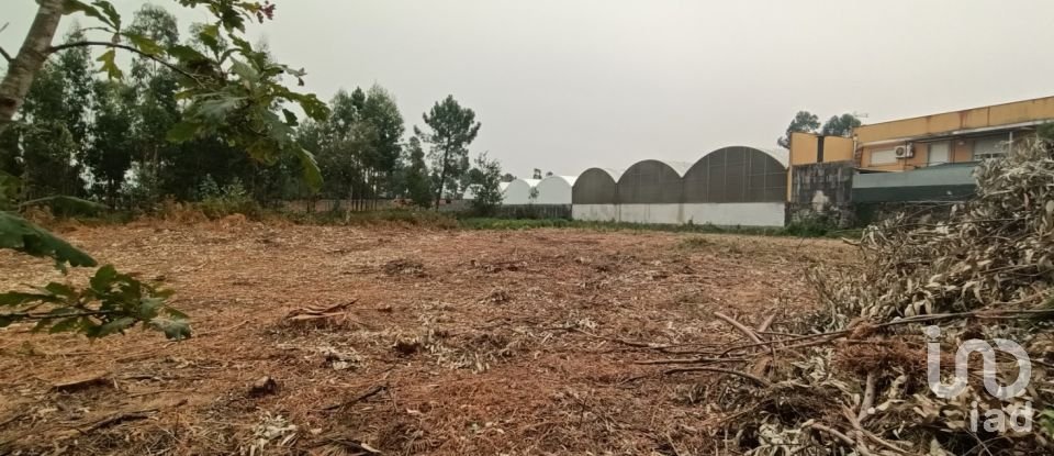 Farm land in Mazarefes E Vila Fria of 6,532 m²