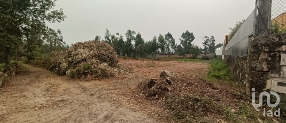 Farm land in Mazarefes E Vila Fria of 6,532 m²