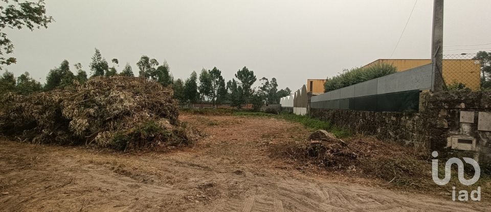 Farm land in Mazarefes E Vila Fria of 6,532 m²