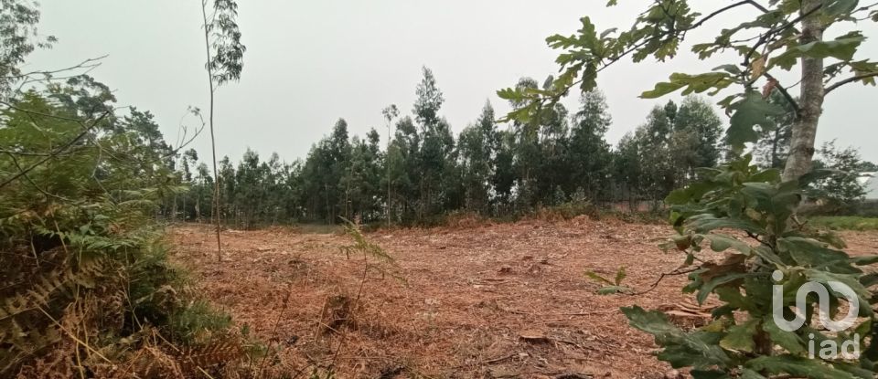 Farm land in Mazarefes E Vila Fria of 6,532 m²