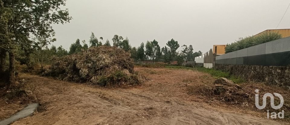 Farm land in Mazarefes E Vila Fria of 6,532 m²