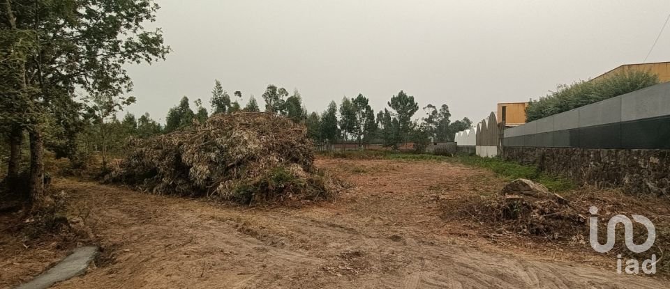 Farm land in Mazarefes E Vila Fria of 6,532 m²