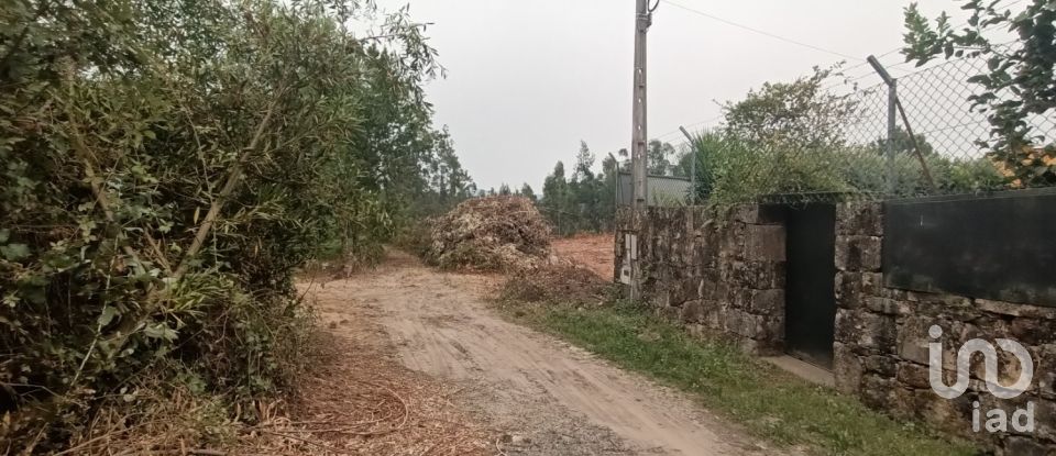 Farm land in Mazarefes E Vila Fria of 6,532 m²