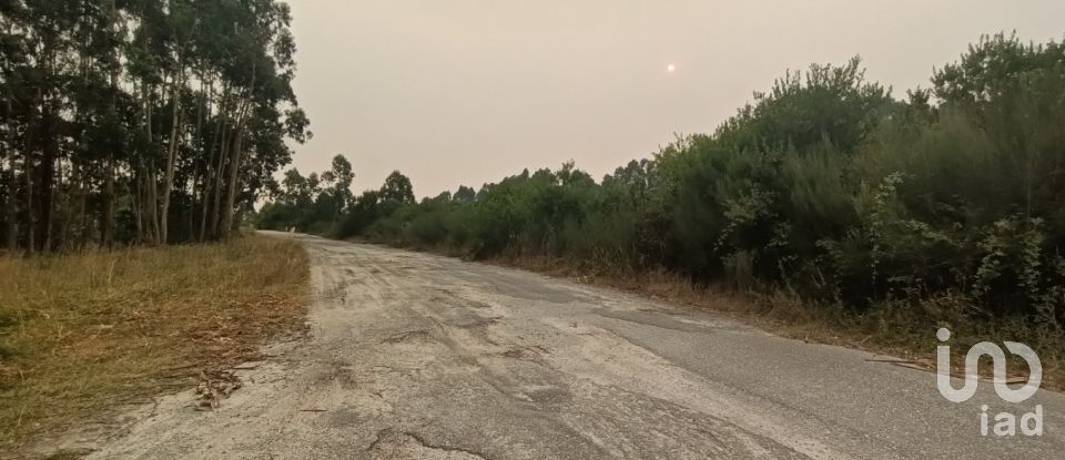 Farm land in Mazarefes E Vila Fria of 6,532 m²