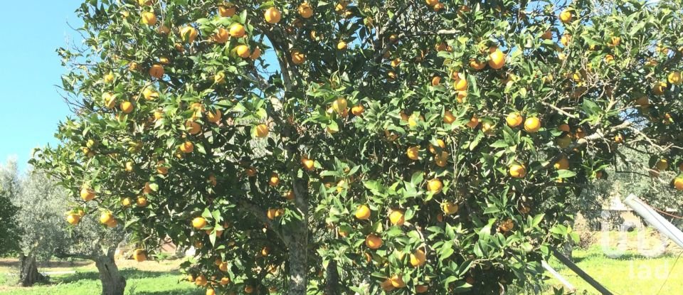 Casa de aldeia T7 em Proença-a-Nova e Peral de 434 m²